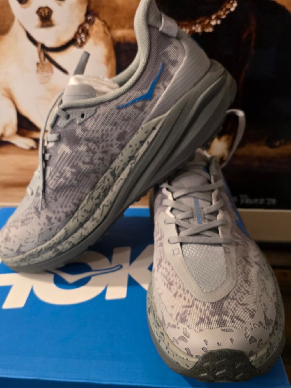 Hoka One Speedgoat 6 Mens SZ 13 2E Wide Galactic Grey Trail Running Shoe NEW